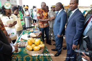 image_870x_67ff72d5bc6c6